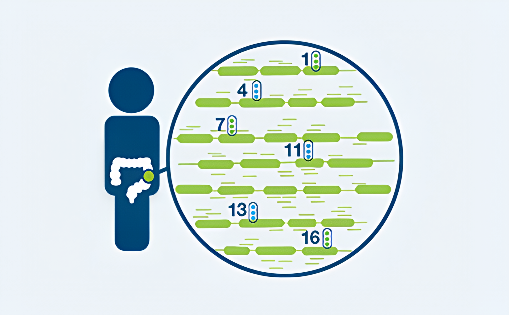 Gráfico de diseño tumor-informado personalizado